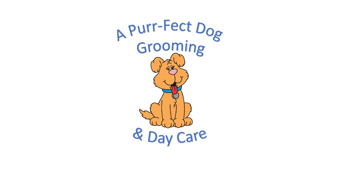 to A Purr Fect Dog Grooming and Daycare Waitwhile