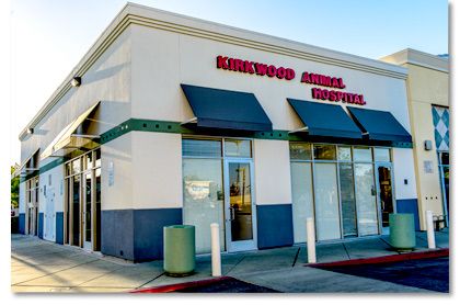 Logo for Kirkwood Animal Hospital