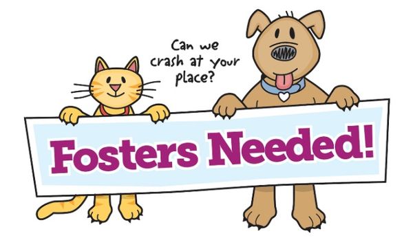 Logo for Pima Animal Care Center - Foster