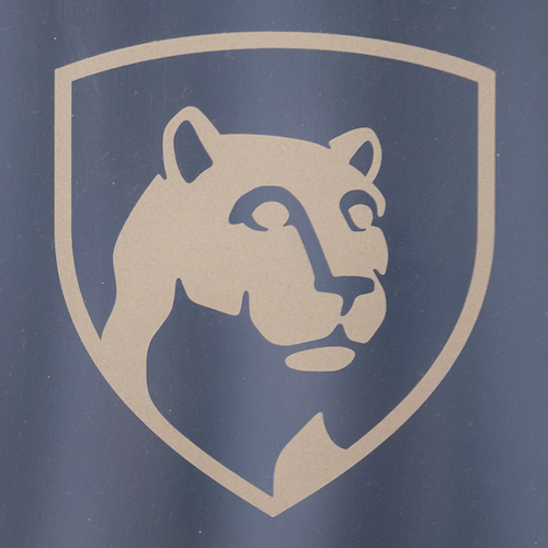 Logo for PSU Smeal Headshots